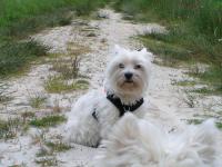 Klik op de foto voor groter formaat